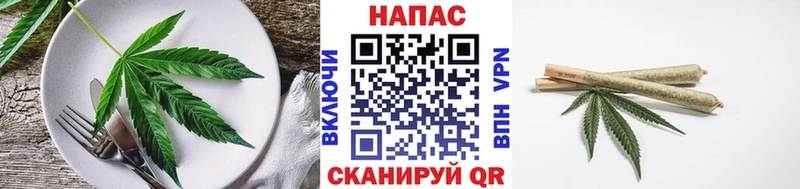 Купить  Лысково  Canna-Cookies конопля 