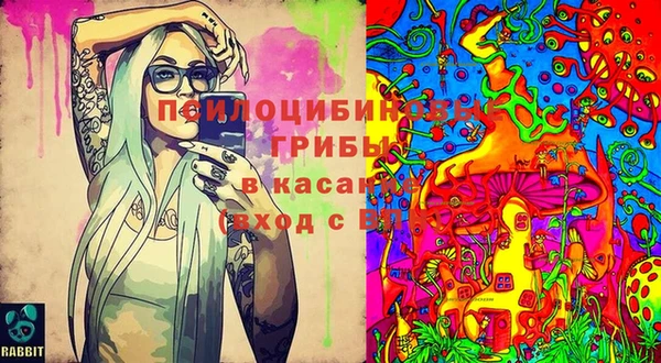 метадон Гусиноозёрск