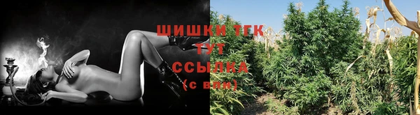 кокс Гусь-Хрустальный