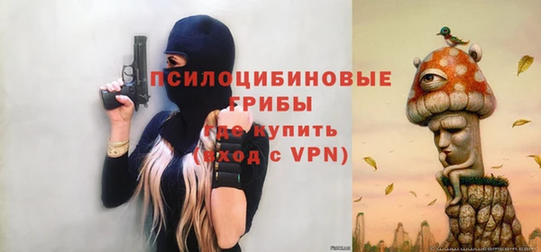 кокс Гусь-Хрустальный