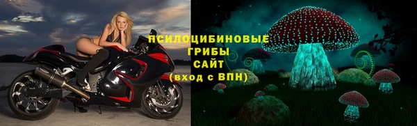 метадон Гусиноозёрск