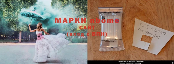 кокс Гусь-Хрустальный