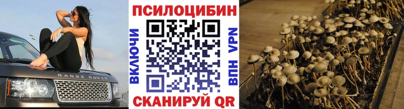 Купить закладки  Лысково  Галлюциногенные грибы Psilocybe 